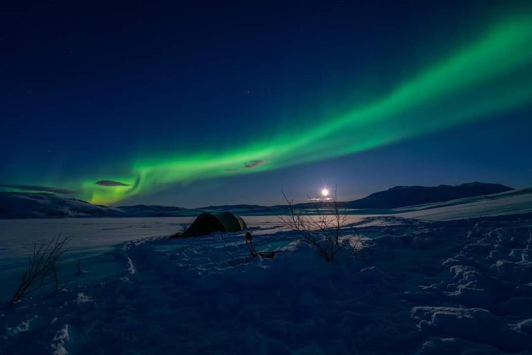 Kaldfjord Sea House Villa Tromso Luaran gambar